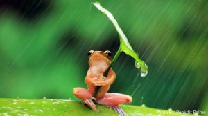 make-a-difference-and-help-people-in-africa