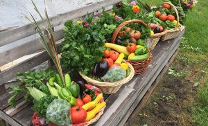 Artful-Bounty-6874-slider