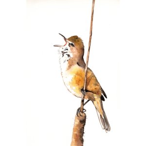 il_fullxfull.323486234