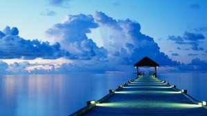 intuition-and-success