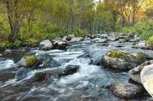 fast_flowing_river_208136